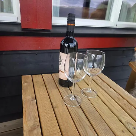 Trastolen In Out Διαμέρισμα Voss