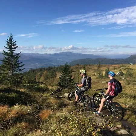 Trastolen In Out Voss